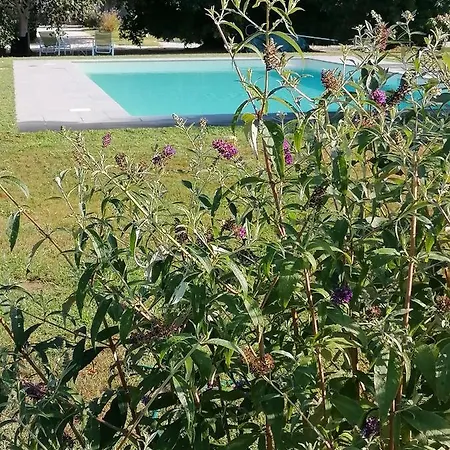 Ferienhaus Il Nido