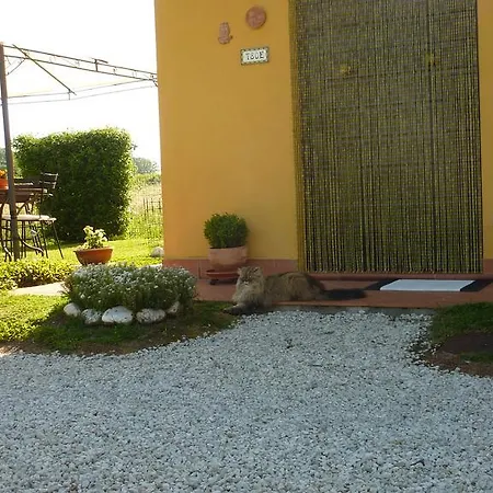 Il Nido Lucca